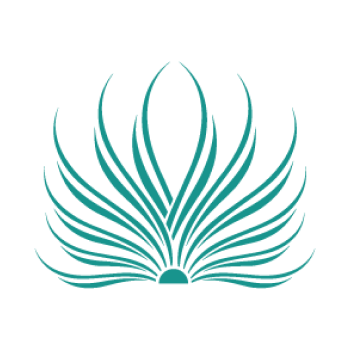 Palmilla Beach logo