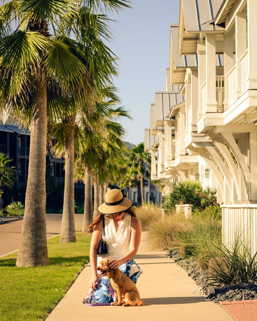 Woman in a sun hat petting her dog on a palm-lined sidewalk