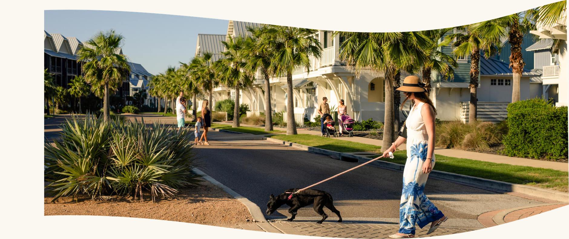 Woman walking a dog along a palm-lined street of beach homes at Palmilla Beach